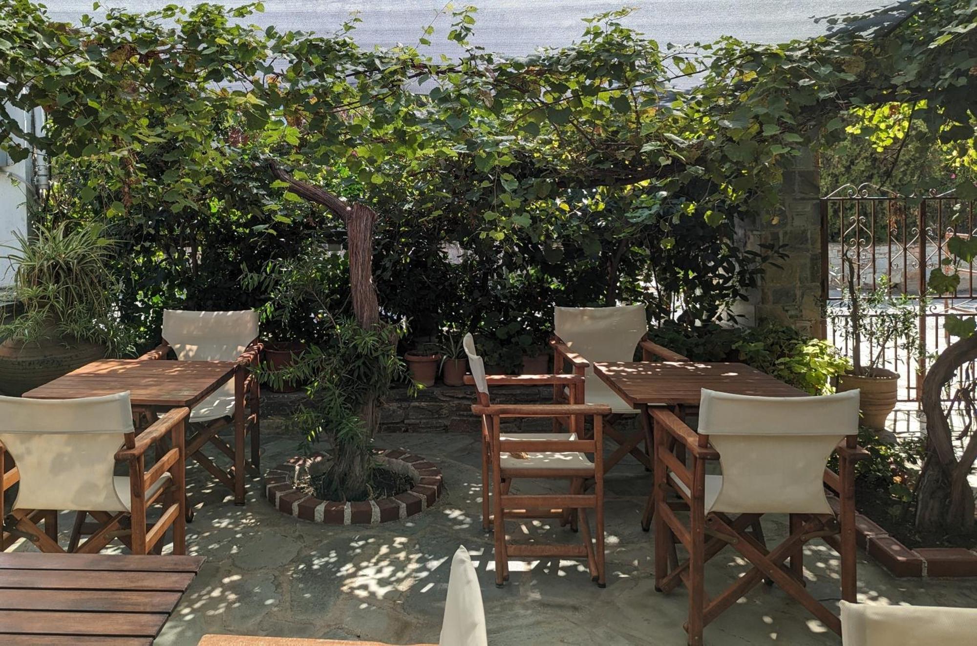 Guesthouse Christos 斯科派洛斯 外观 照片