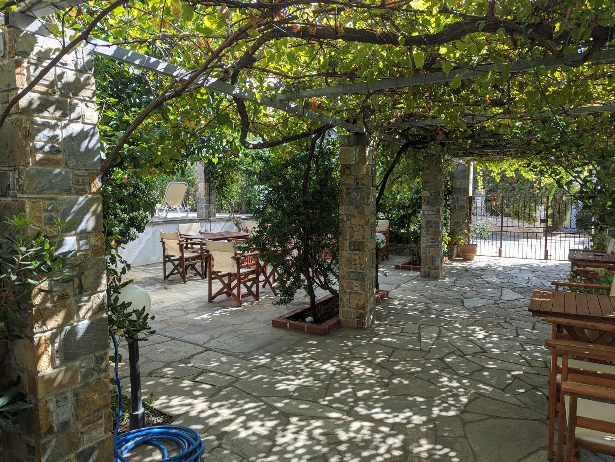 Guesthouse Christos 斯科派洛斯 外观 照片