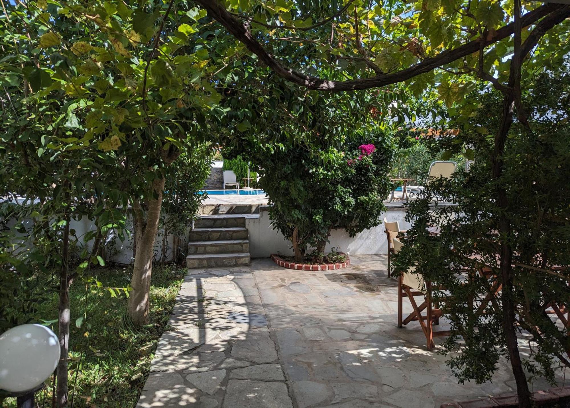 Guesthouse Christos 斯科派洛斯 外观 照片
